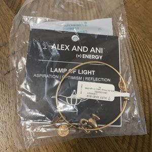 NWT Alex and Ani Lamp of Light bracelet